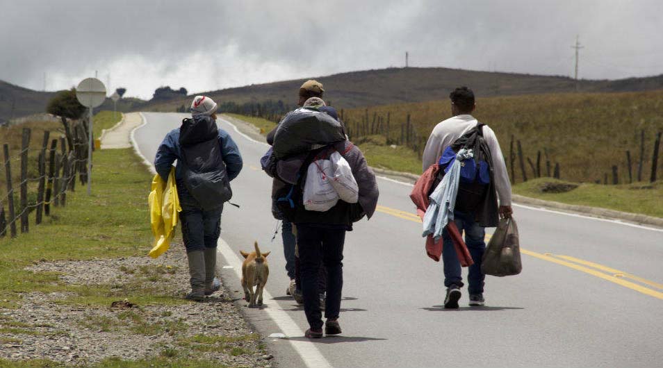 Une a migrantes con sus perrhijos; crisis política en Venezuela