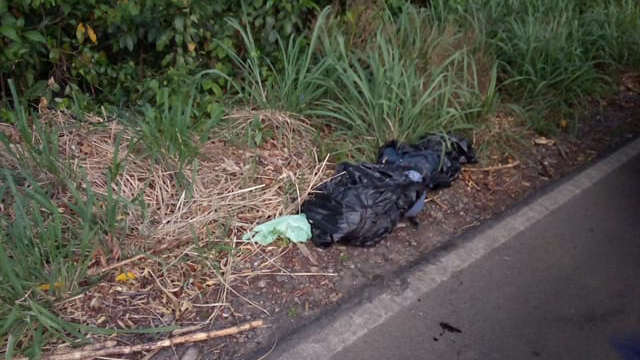 Hallan decapitado en la Cuenca del Papaloapan Oaxaca