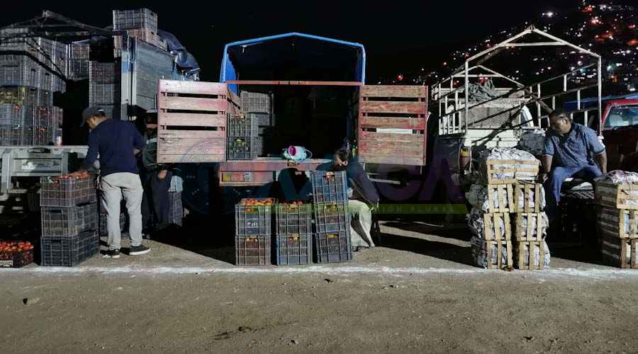 Tomateros que fueron movidos del playón en la incertidumbre por aparición de dueño en el predio del triplay
