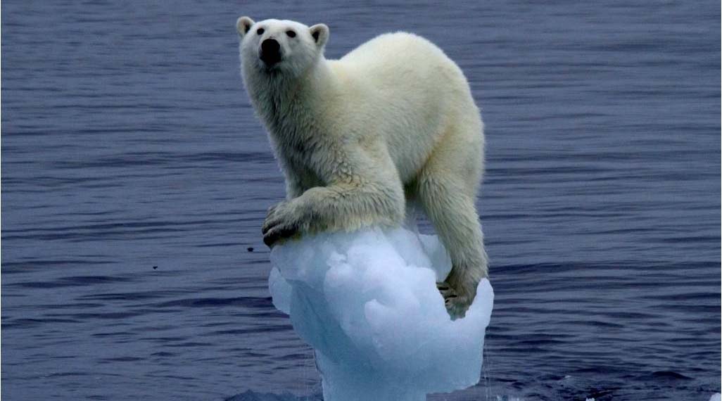 Chinos buscan dar respuestas a cambio climático explorando el Ártico