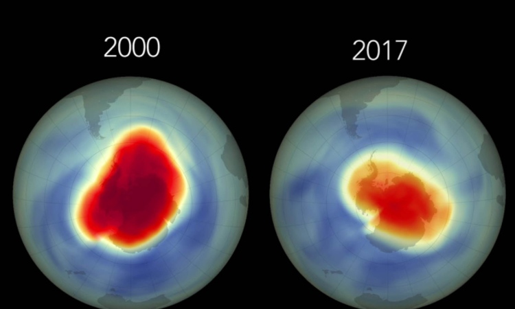 Es necesario mantener las acciones para preservar la capa de ozono: UNAM