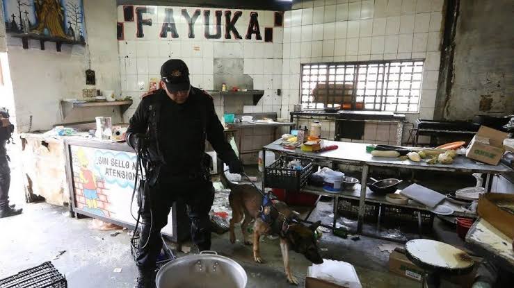 Continúa la búsqueda de fosas y restos humanos en Topo Chico
