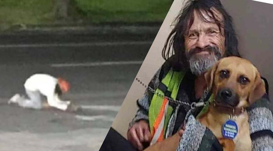 Indigente es captado llorando frente a su perrito atropellado