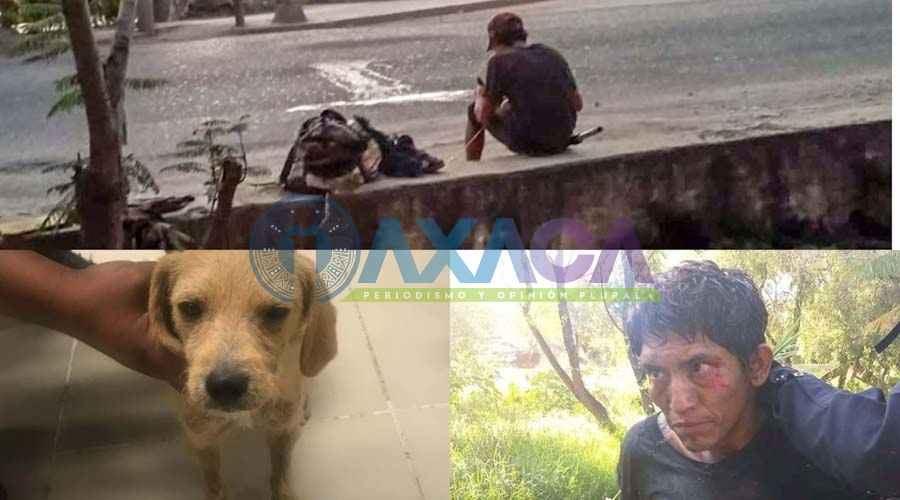 Llevará proceso en libertad sujeto que violaba perros en Oaxaca