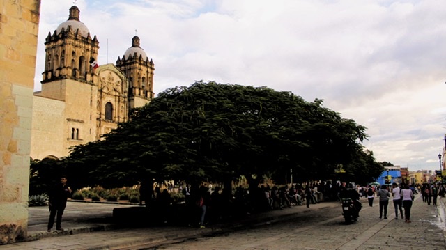 Prepárate, estas son las movilizaciones programadas para este día en Oaxaca