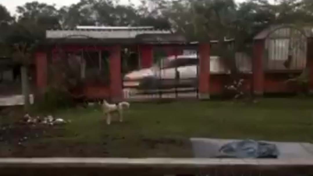 Video: Grupo armado irrumpe y desata balacera en Temascal, Oaxaca