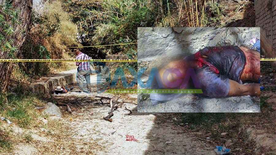 Muere joven al caer de árbol en la colonia del Maestro, Oaxaca