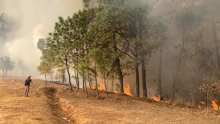 Video: Cobra 9 víctimas incendio en Santos Reyes Tepejillo, Oaxaca