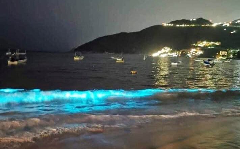 Increíble y mágico fenómeno natural ilumina las playas de Acapulco durante la noche.