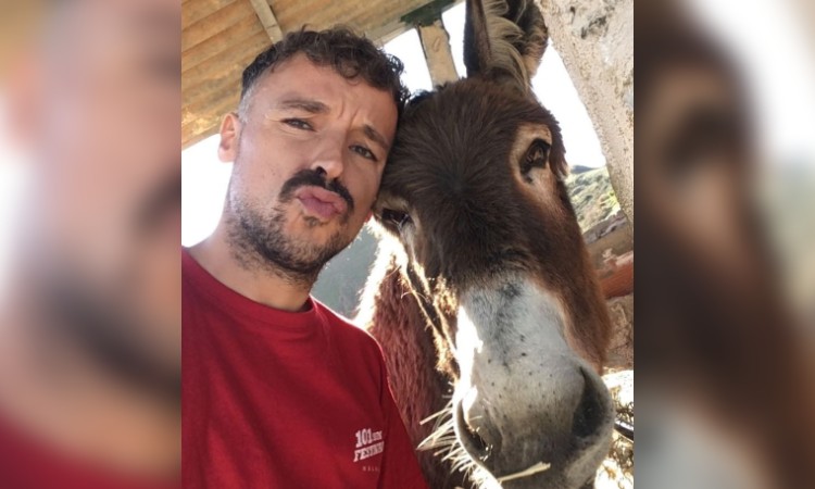 Esta es la conmovedora reacción de una burrita al reencontrarse con su dueño.