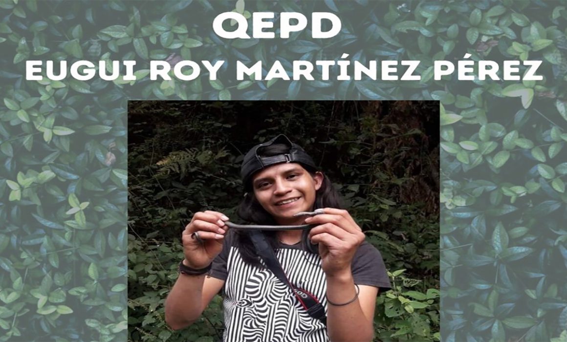 Ambientalistas exigen justicia por el asesinato de otro compañero, ahora en la sierra de Oaxaca.