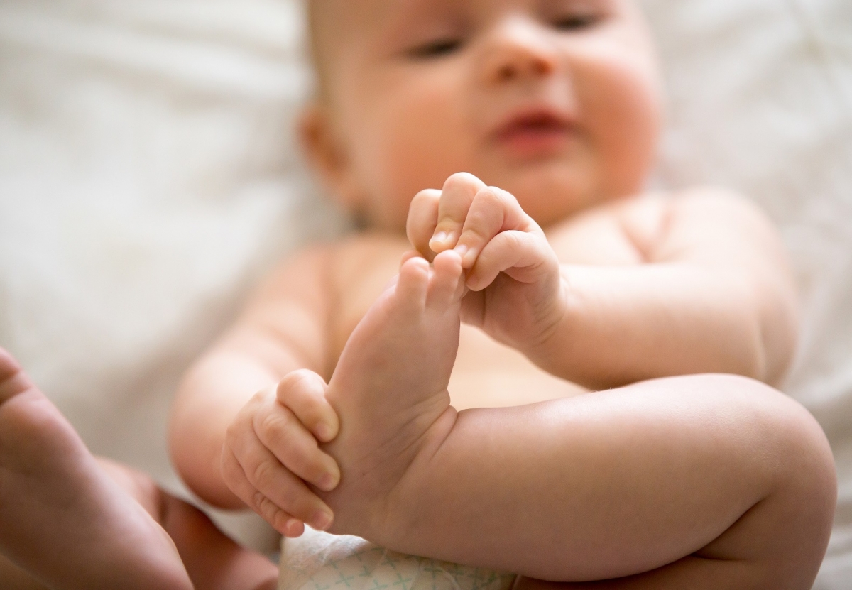 Encuentran a bebe muerto y mordido por perros