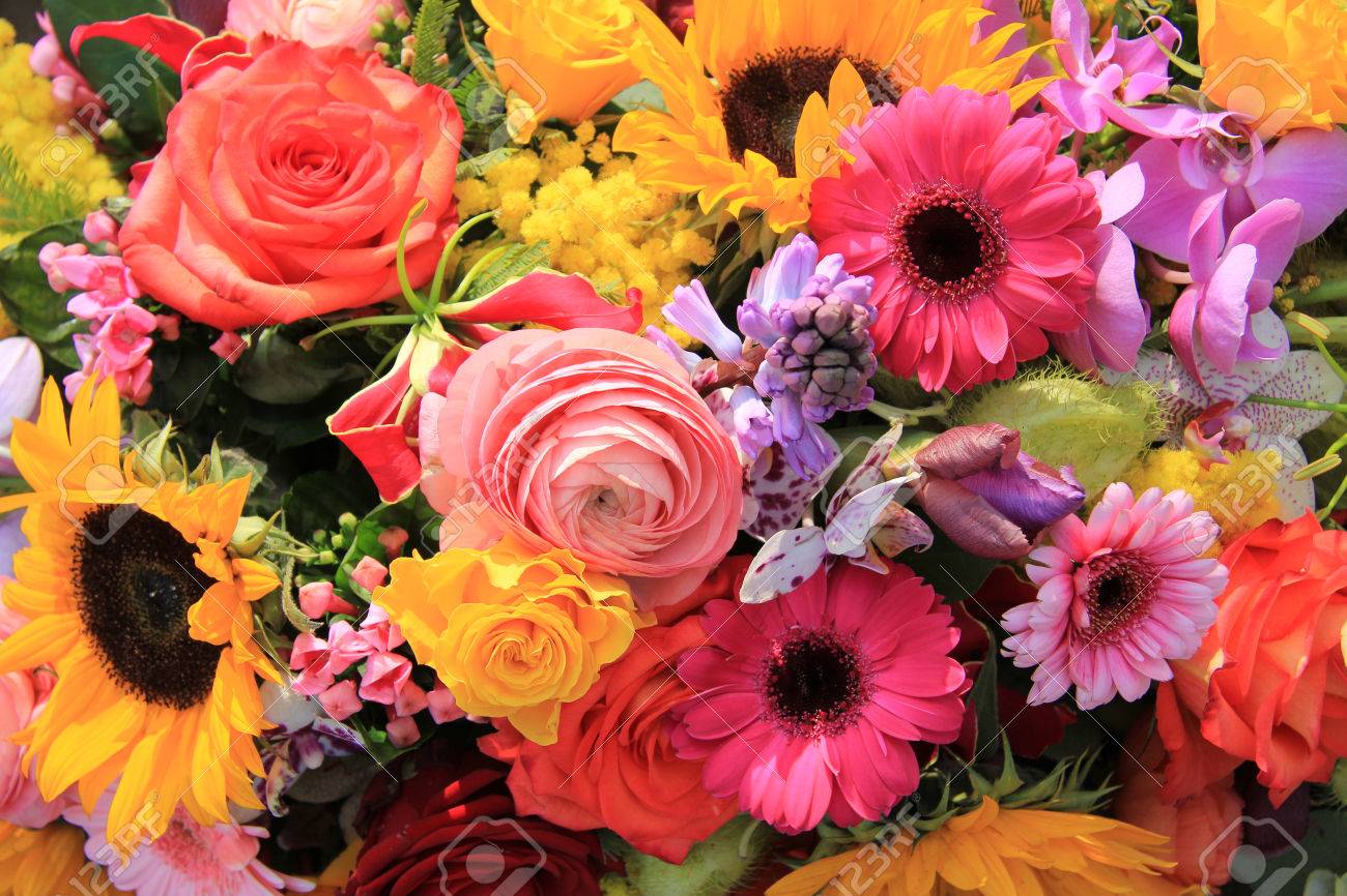 Conoce que tipo de flores regalarle a tú mamá según su signo Zodiacal