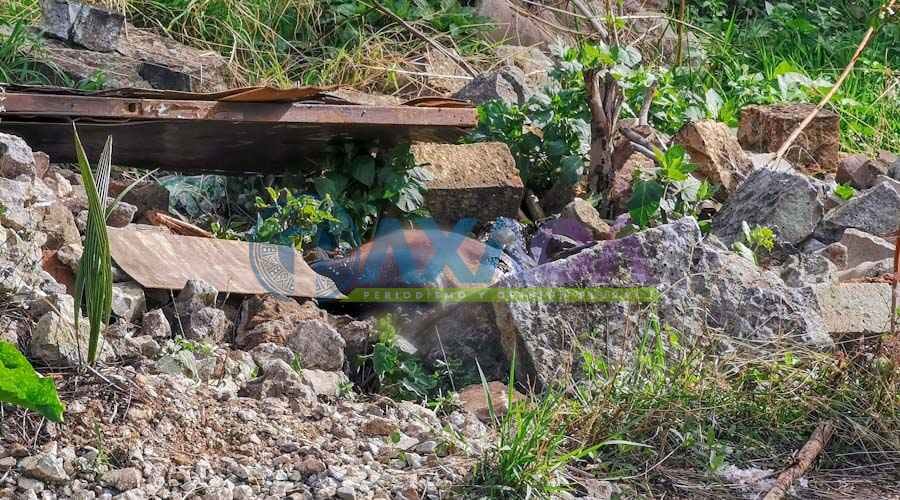 Localizan cuerpo en estado de putrefacción en San Martín Mexicapan; perros ya lo devoraban