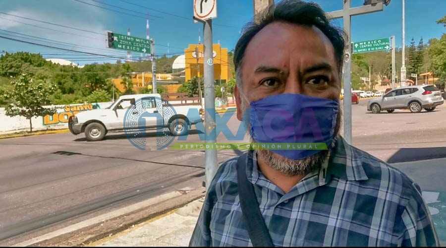 Ambientalistas denuncian deforestación de árboles para dejar libre espectacular