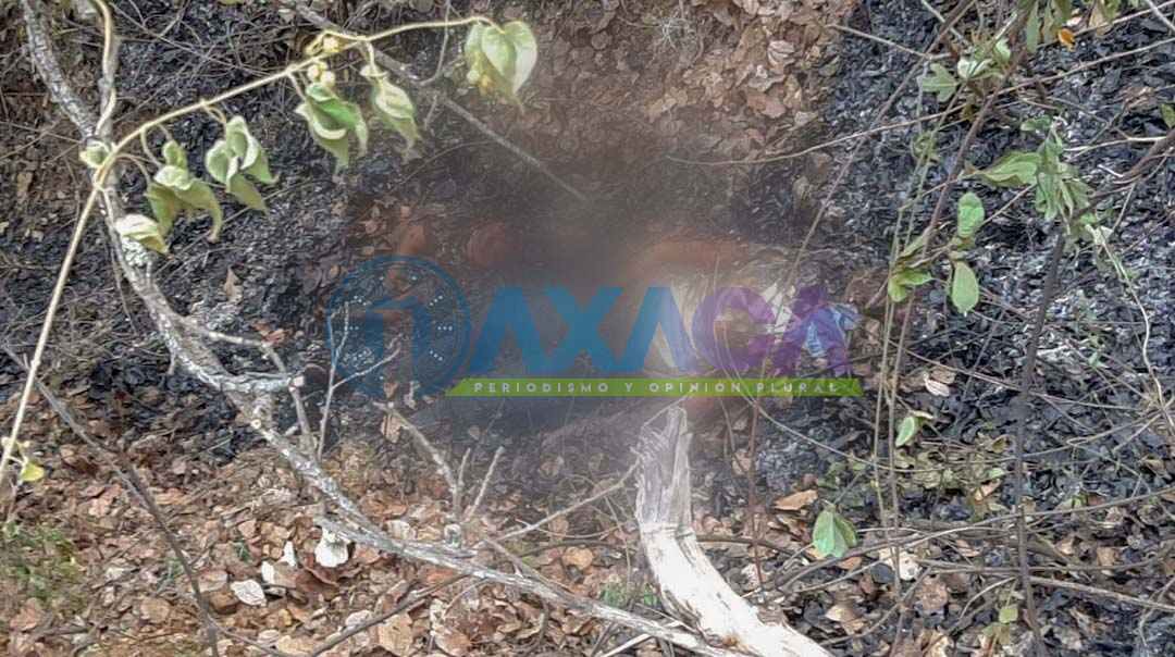 Hallan sin vida y calcinados a mujer embarazada y niño en Ejutla de Crespo, Oaxaca
