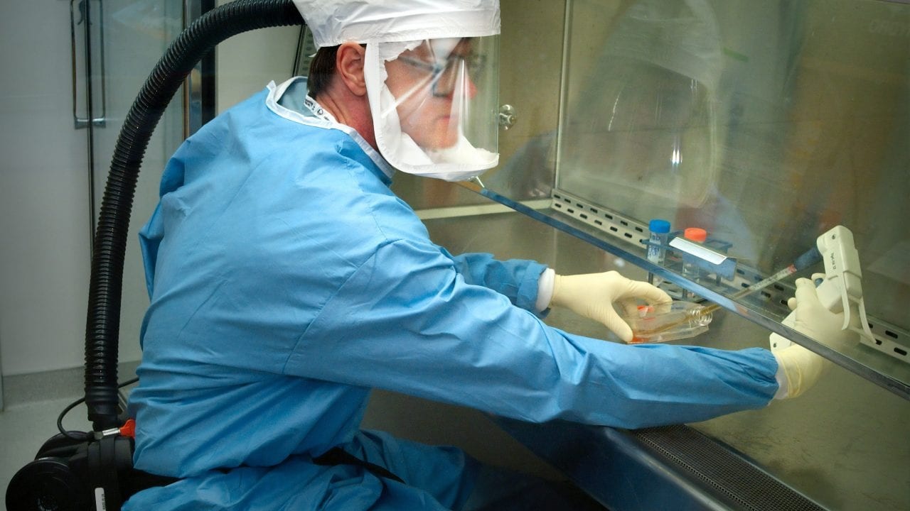 En Israel la vacuna contra coronavirus en animales fue exitosa, se espera la prueba en humanos.