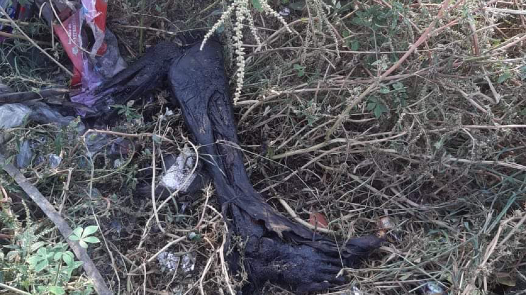 Localizan pierna humana calcinada en basurero de Salina Cruz, Oaxaca