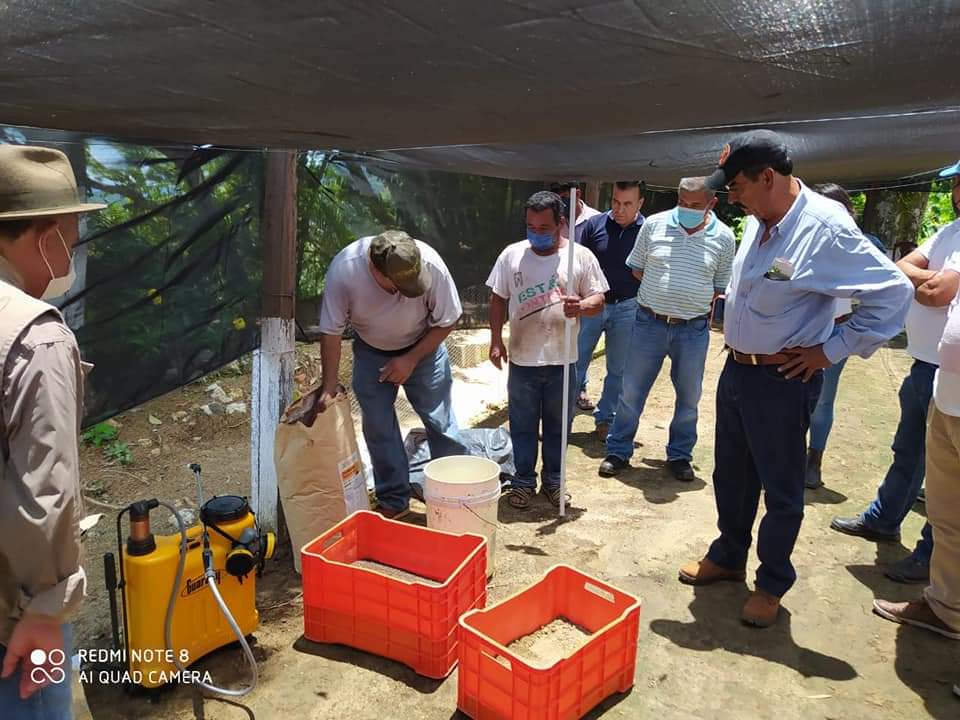 Piden al titular de la SEDAPA atención a todos los productores de Café