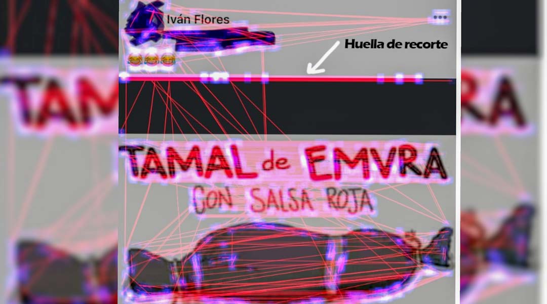 Usa ‘Marea Verde Oaxaca’ movimiento feminista para atacar a periodistas y ocupar puestos