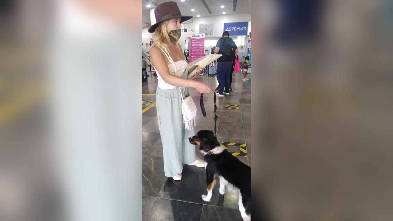 Viva Aerobus niega acceso a mujer con su perro de apoyo emocional en Oaxaca