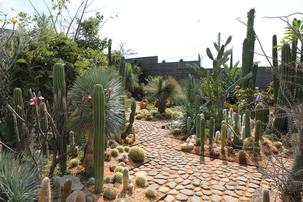 Vives Verde, un lugar que pasó de ser un basurero a un jardín de esculturas y bellezas botánicas