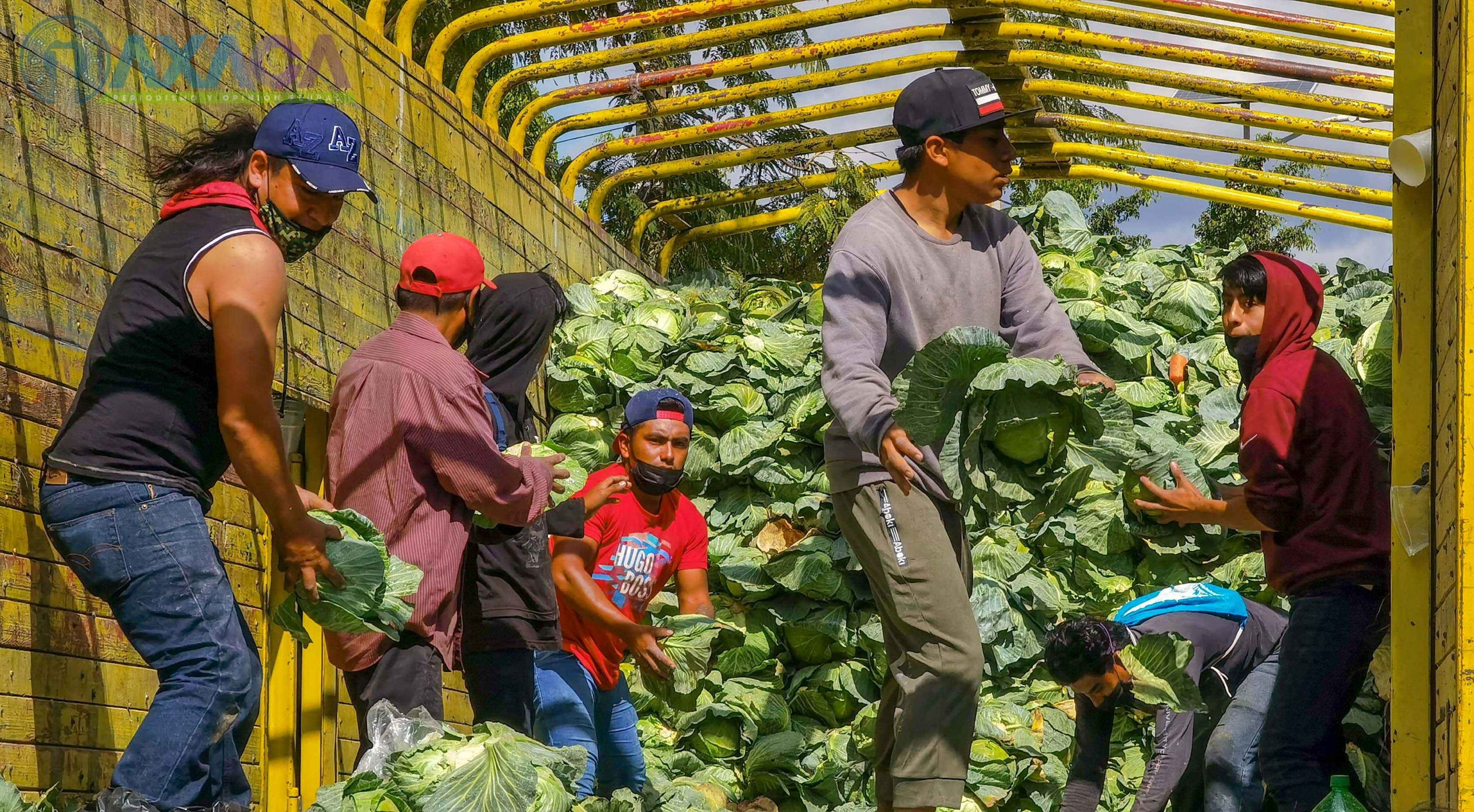 Nuevamente regalarán verduras agricultores de Puebla, ahora en San Juan Chapultepec, Oaxaca