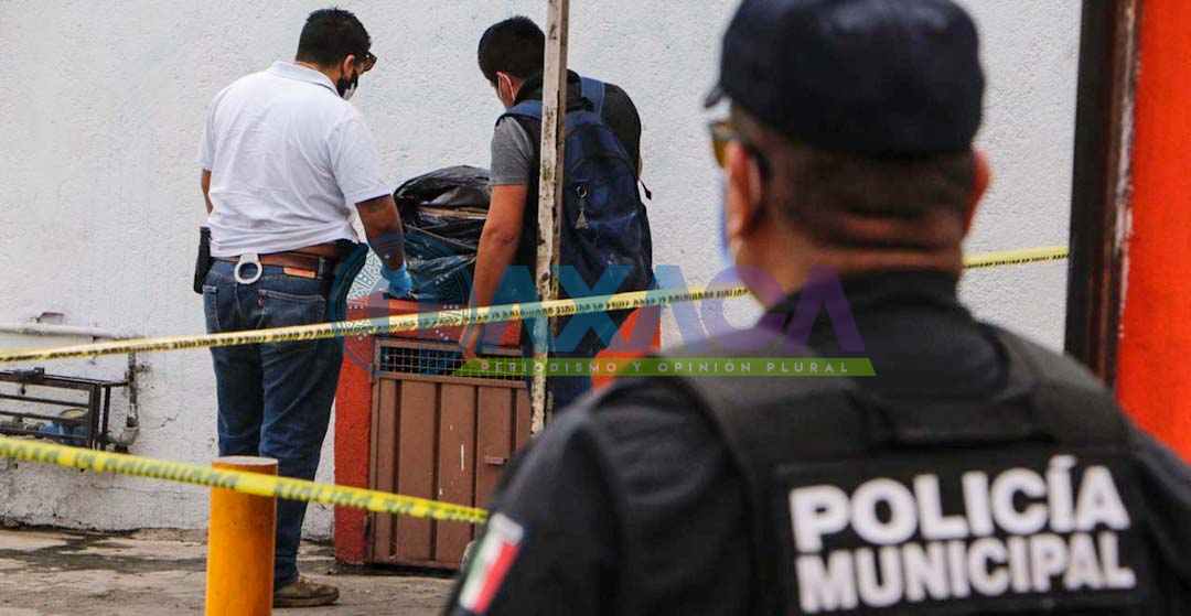 Dejan cabeza de marrano con mensaje amenazante a locataria del mercado Bravo Ahuja