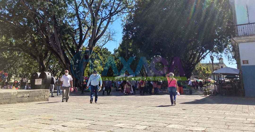 COVID-19 en Oaxaca: se registran 384 nuevos casos y 20 defunciones