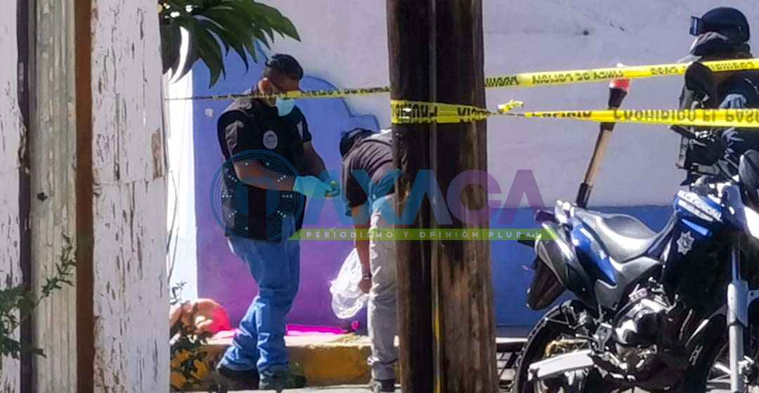 ¡Otra más! Dejan cabeza de cerdo en Santa Lucía, con presuntas amenazas a Cristina Delgado