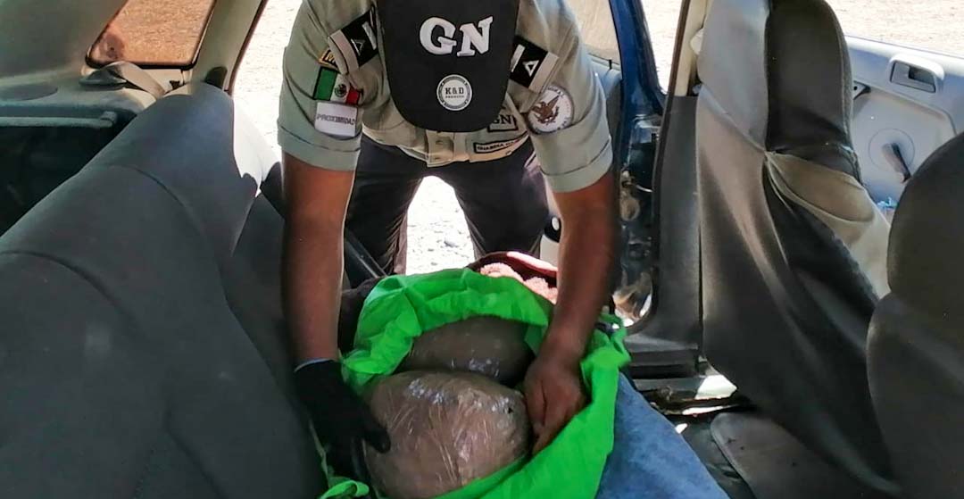 Decomisa la Guardia Nacional supuesta marihuana y metanfetamina en Oaxaca