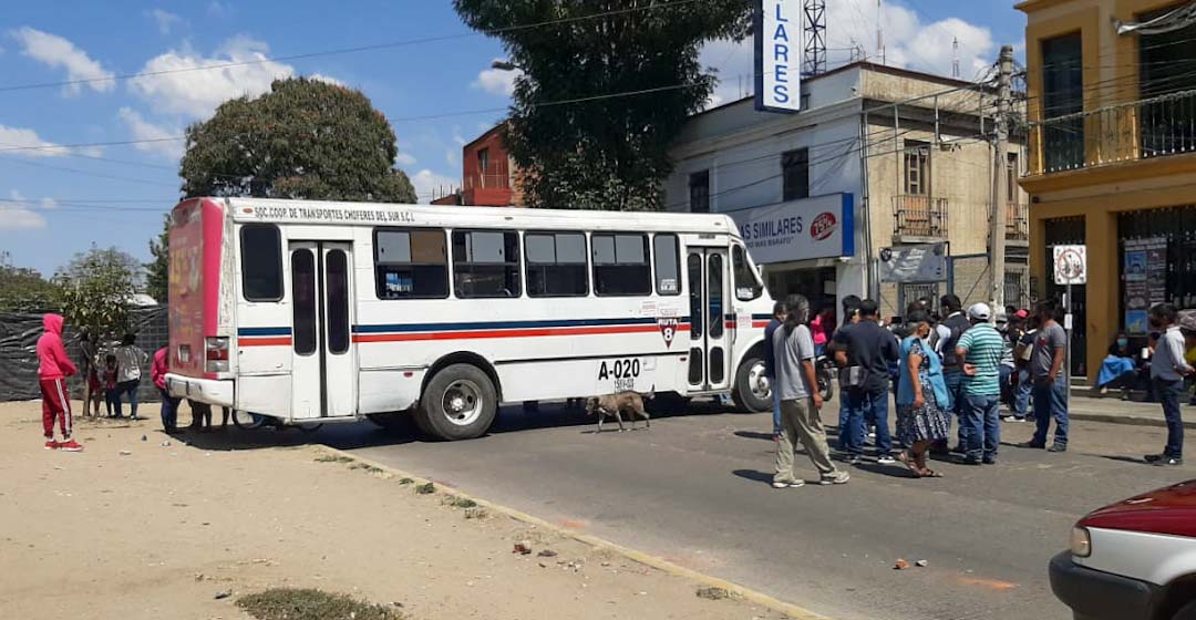 ‘¿Cuánto la mochada para que el Municipio de Oaxaca de Juárez nos deje trabajar?’: Comerciantes en vía pública