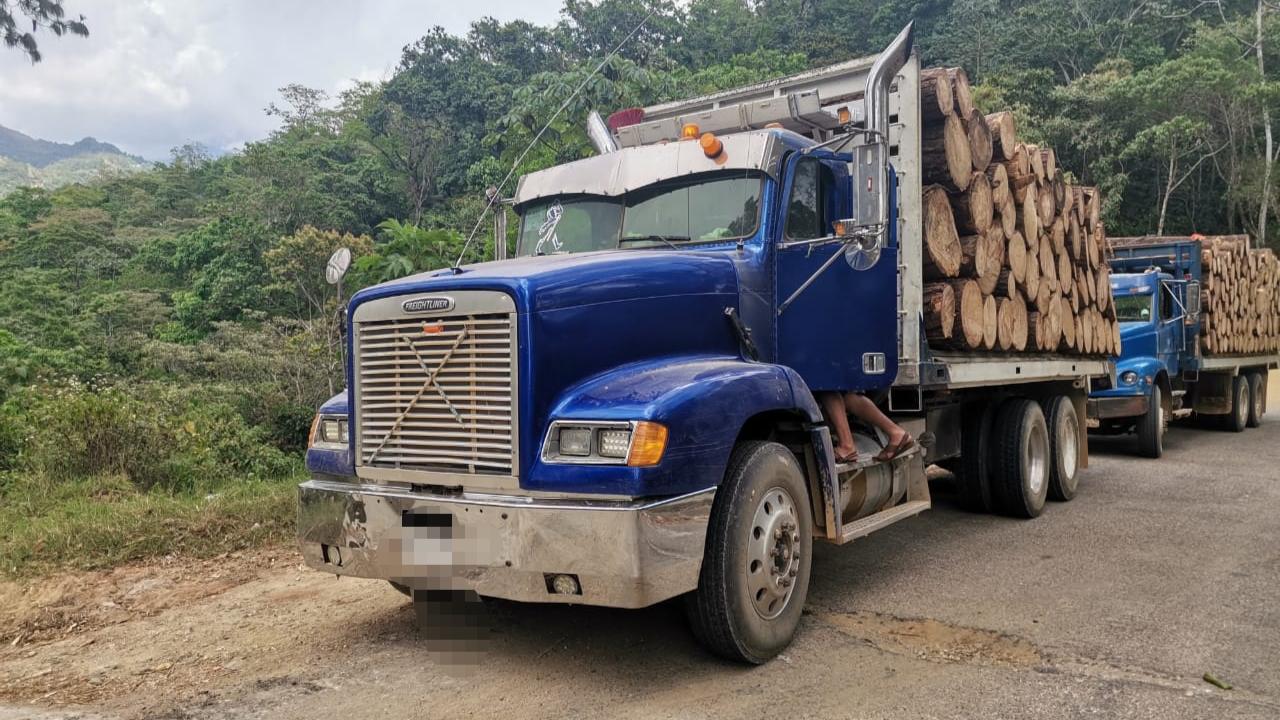 Asegura Policía Estatal a personas y camiones por no acreditar la procedencia de la madera