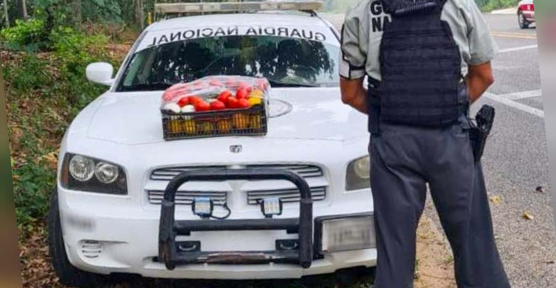 En cajas de frutas y verduras transportaban presunta marihuana; Guardia Nacional asegura el cargamento