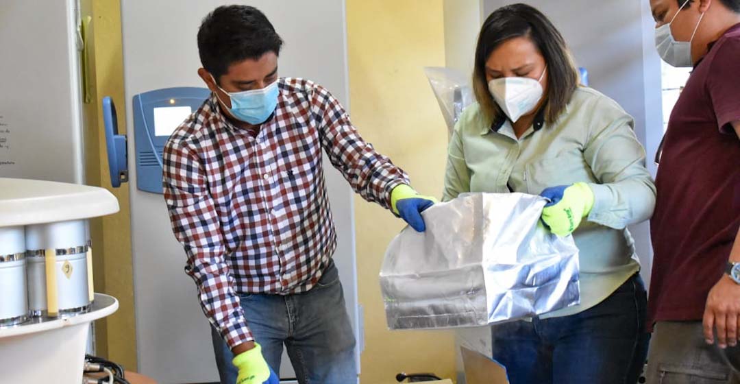 Llegan a Oaxaca 24 mil 375  dosis de la vacuna Pfizer