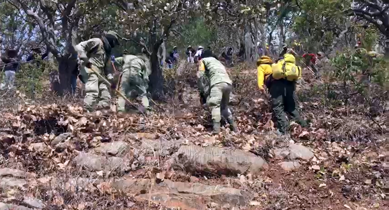 Trabajan por 3 días para sofocar incendio forestal en San Juan Teita, Tlaxiaco