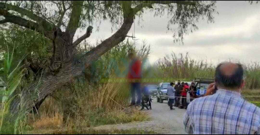 Hallan a masculino colgado de un árbol en Rojas de Cuahutémoc