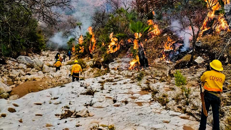 Controla Coesfo incendio en Magdalena Jaltepec
