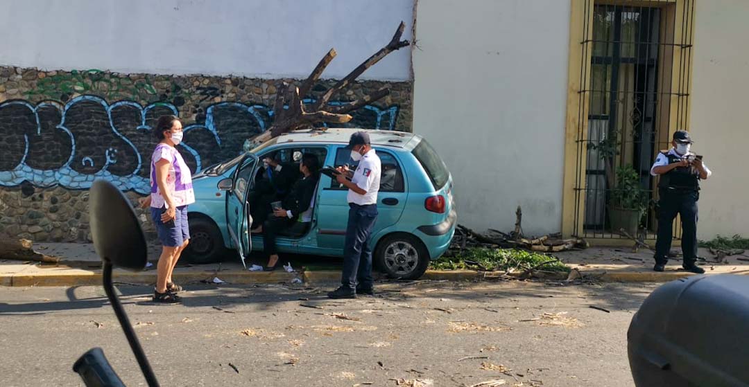 Automovilista resulta lesionada al impactarse contra árbol en el Centro Histórico, Oaxaca