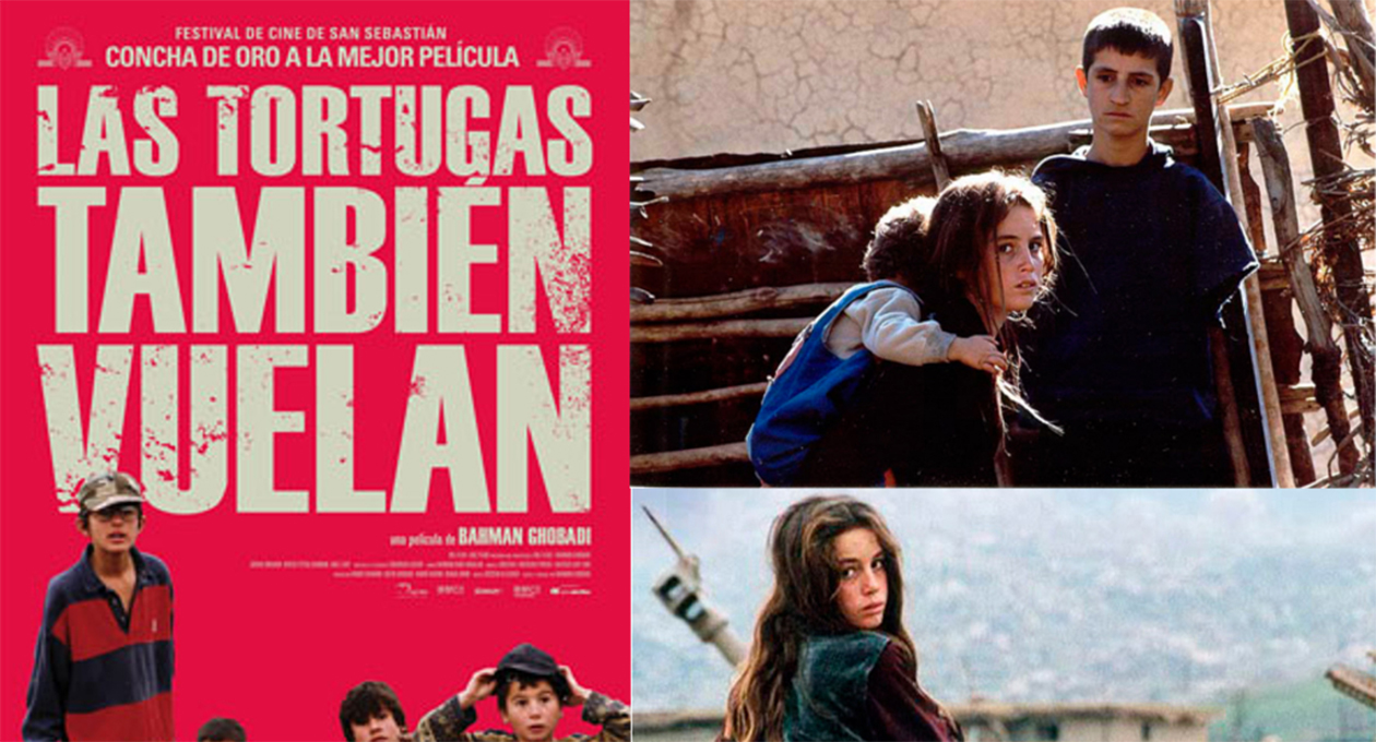 Las tortugas también vuelan