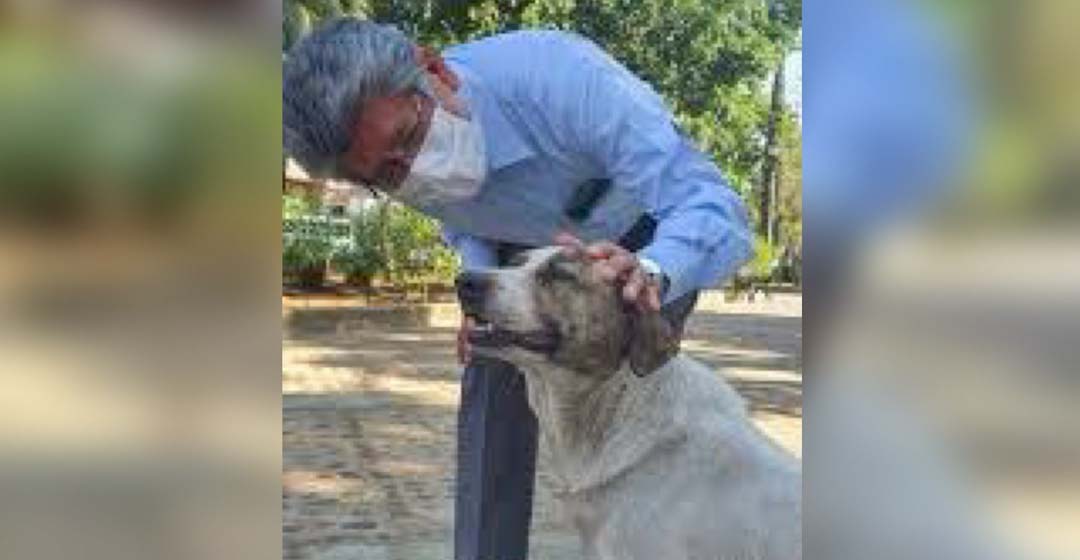 Imponen planilla a Francisco Martínez Neri; es la misma de Oswaldo García