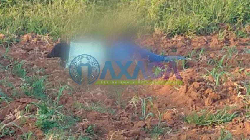 Identifican a mujer hallada sin vida en Cuilápam de Guerrero, Oaxaca; tenía 28 años