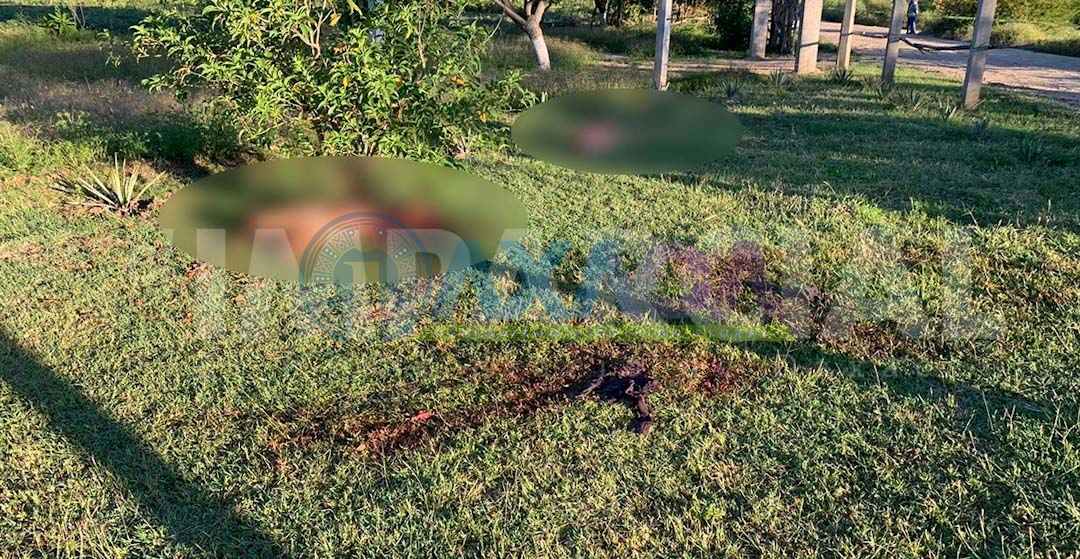 Estado feminicida, administración de Alejandro Murat Hinojosa llega a 558 feminicidios