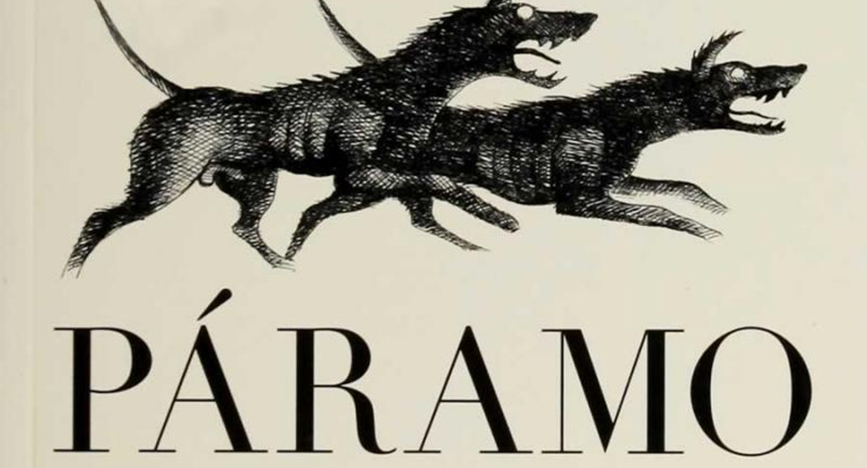 Novelas y realidad nacional