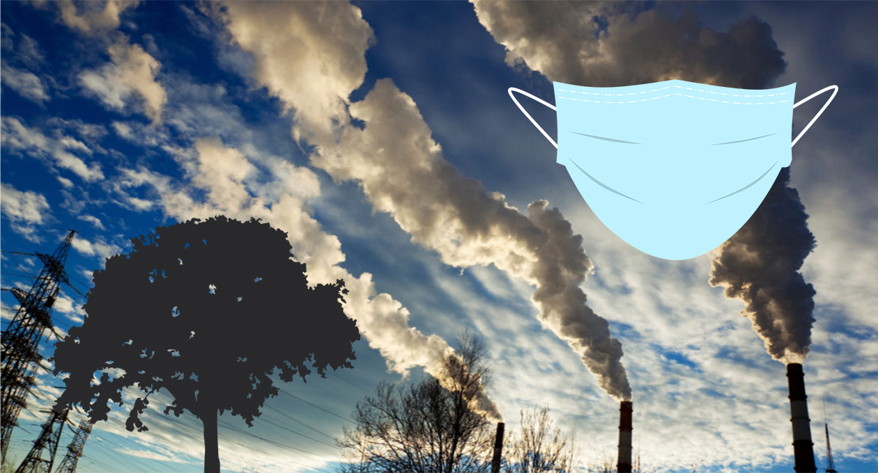 Economía y Política, dos entes inseparables