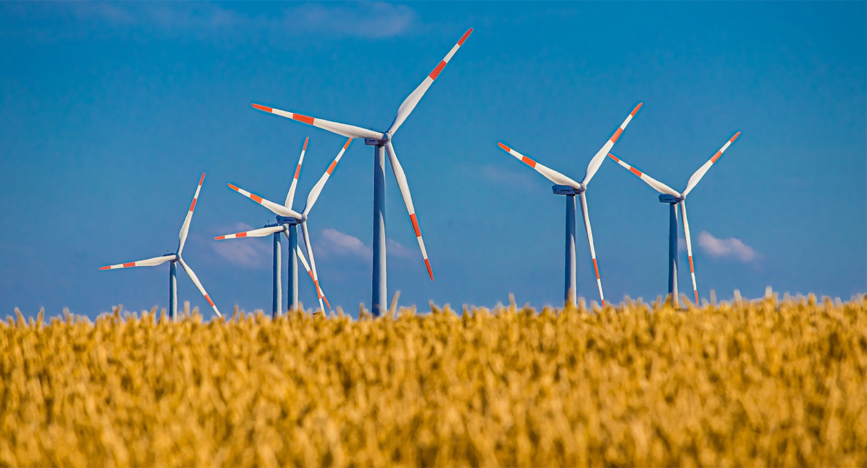Recuperación verde a través de energía eólica generaría 2,2 millones de empleos