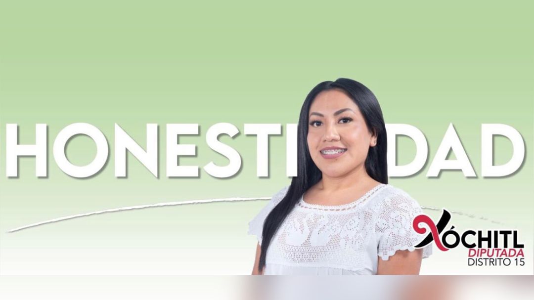 Diputada de Oaxaca presenta iniciativa para reformar la ley, plagiando artículo periodístico