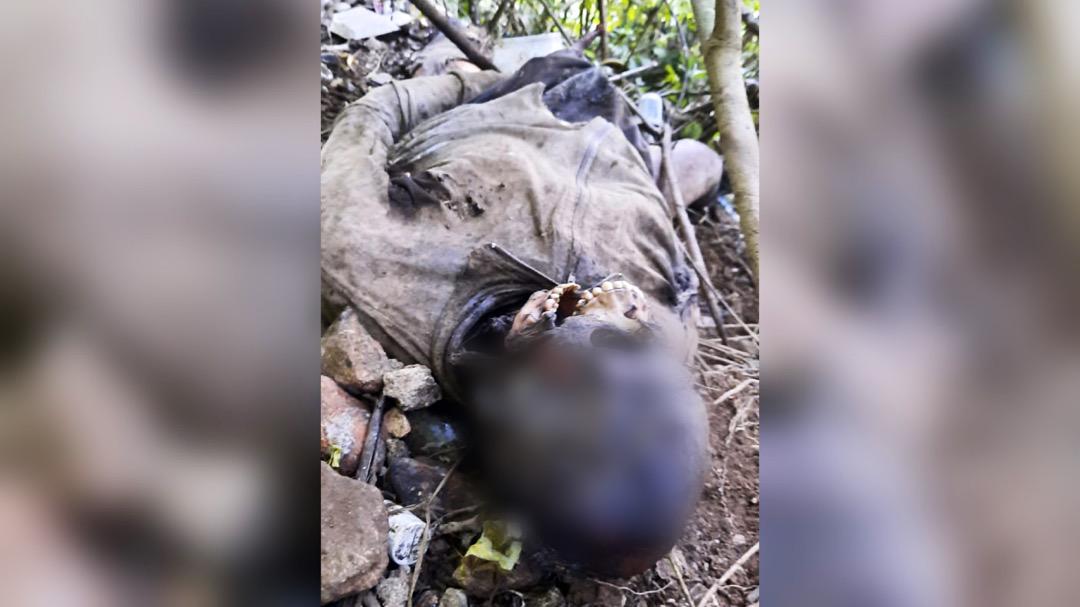 Investigan a AEI por cuerpo putrefacto hallado en Huautla de Jiménez, Oaxaca