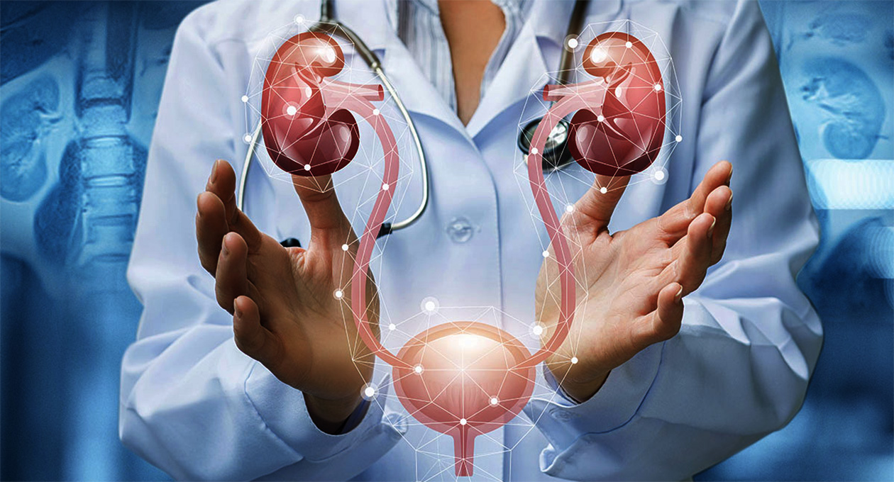 En 2021, GNP recibió 4,153 casos relacionados con  problemas renales y pagó cerca de 704 millones de pesos