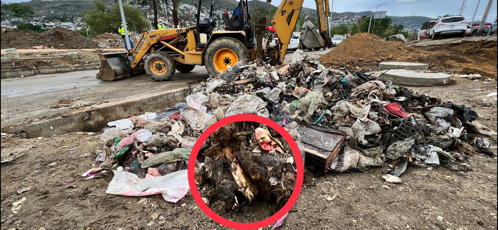 Restos de borrego, ropa y basura taparon drenaje que provocó inundación en la Central de Abasto